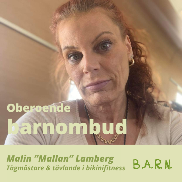 Oberoende barnombud BARN ambassadör