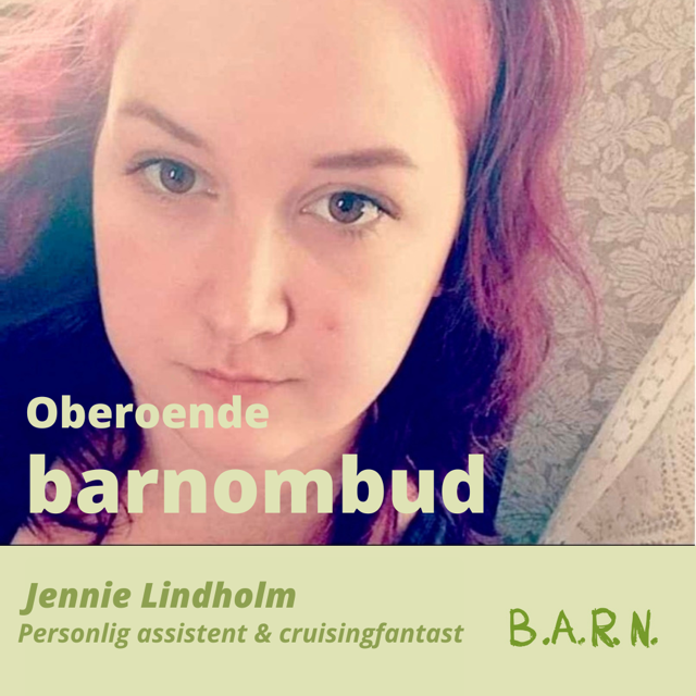 Oberoende barnombud BARN ambassadör